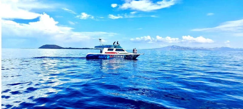 Fuerteventura: Dolphin watching and Lobo Island Combo Cruise - Final Thoughts