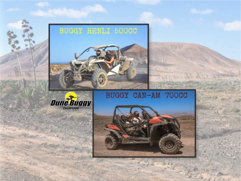 Fuerteventura: Dune Buggy Tour in Northern Fuerteventura - Pricing and Booking