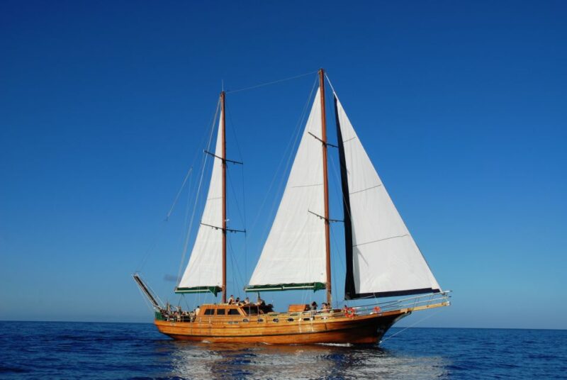 Fuerteventura: Exclusive Turkish Gulet Cruise With Lunch - Experience Highlights