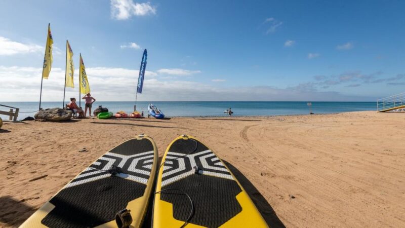 Fuerteventura: Explore Costa Calma Bay on a SUP Board! - Booking and Reservation