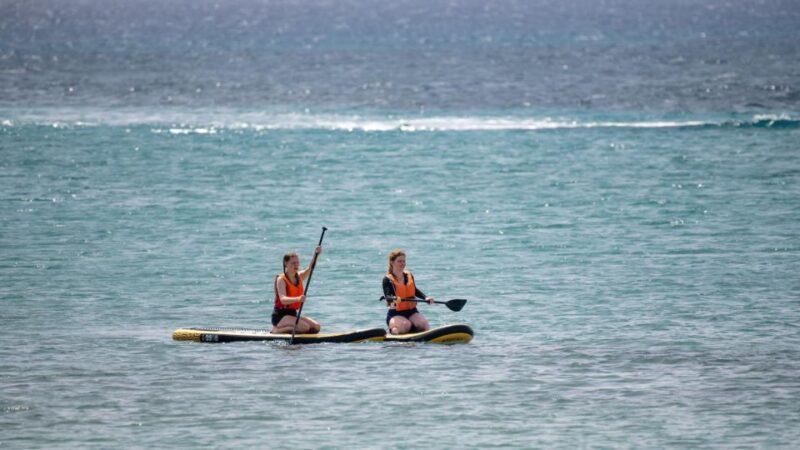 Fuerteventura: Explore Costa Calma Bay on a SUP Board! - Cancellation Policy and Refunds