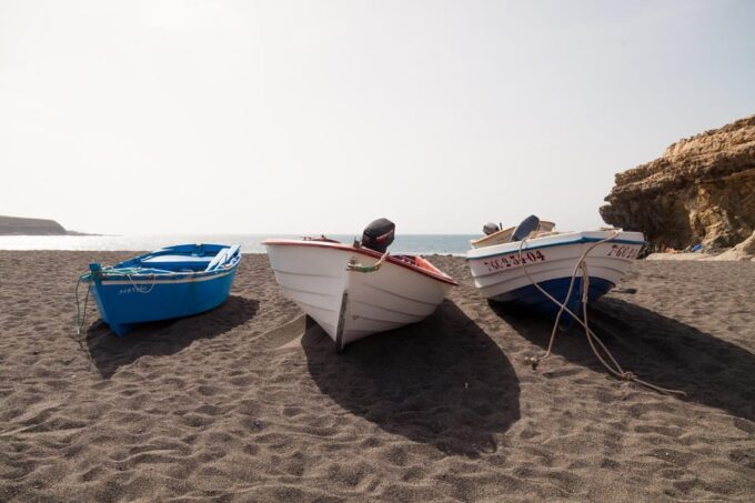 Fuerteventura: Explore the Natural Wonders of the Island - Tour Logistics and Inclusions