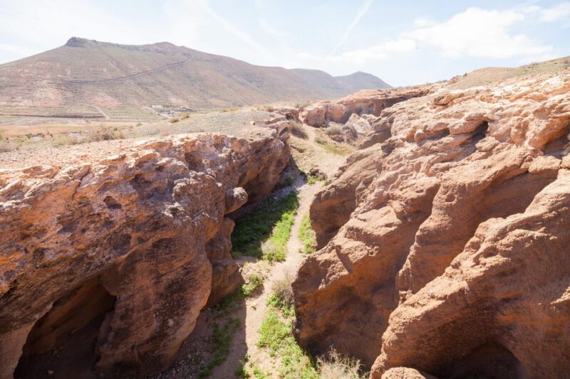 Fuerteventura: Full Day - Explore the Vulcanic North - Unique Attractions