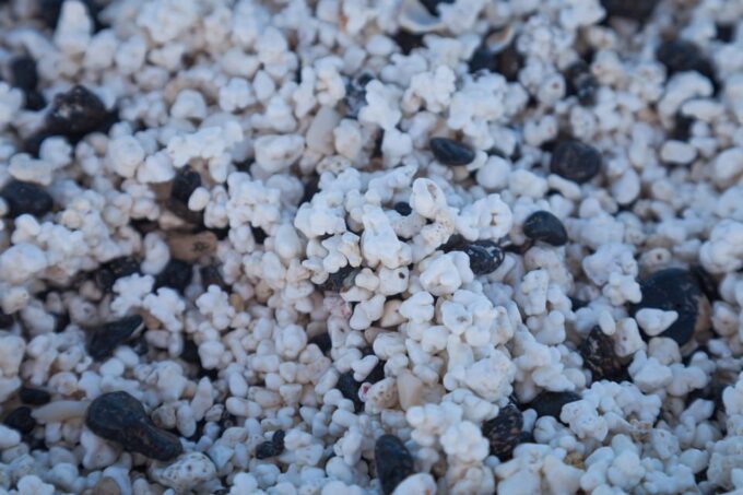 Fuerteventura: Full Day - Explore the Vulcanic North - Suitability and Recommendations