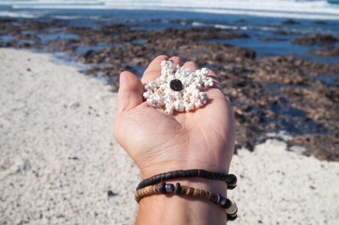 Fuerteventura: Full Day - Explore the Vulcanic North - Frequently Asked Questions