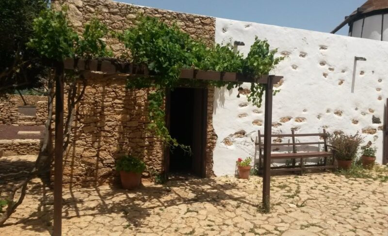 Fuerteventura: Full Day Tour With Lunch - Transportation and Guide