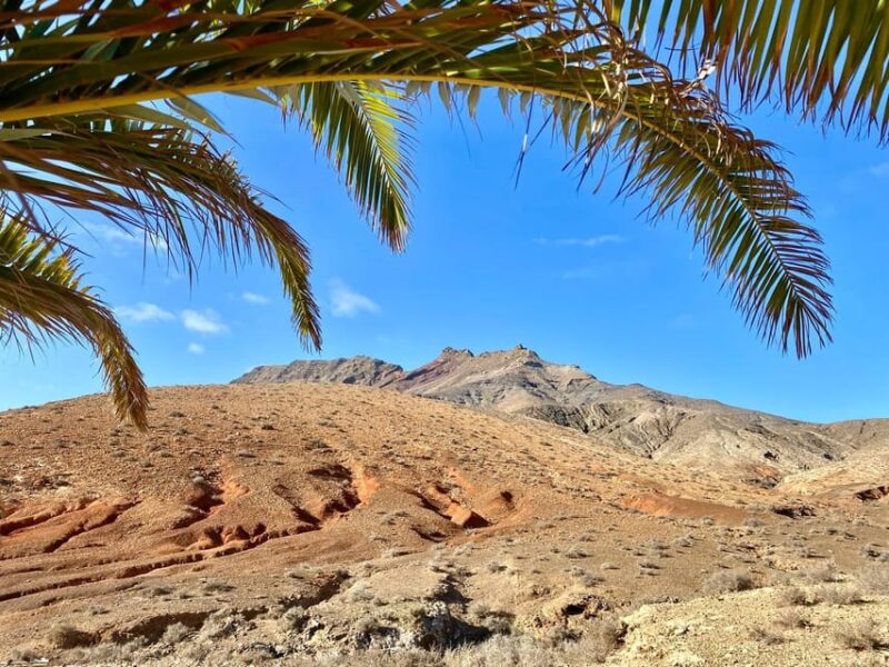 Fuerteventura Hiking up the Holy Mountain El Cardon - Key Points