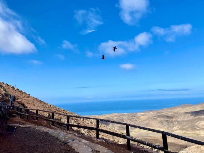 Fuerteventura Hiking up the Holy Mountain El Cardon - Frequently Asked Questions