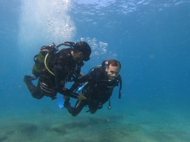 Fuerteventura: Introductory Dive in La Lajita With Pickup - Frequently Asked Questions
