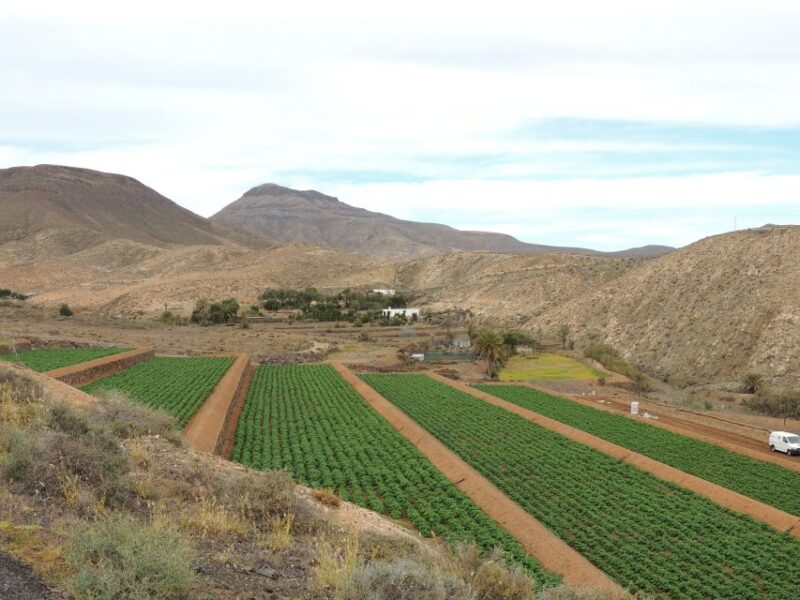 Fuerteventura: Island Highlights Guided VIP Sightseeing Tour - Key Points