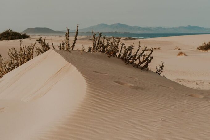 Fuerteventura North: 4h Tour for Cruise Passengers - Frequently Asked Questions