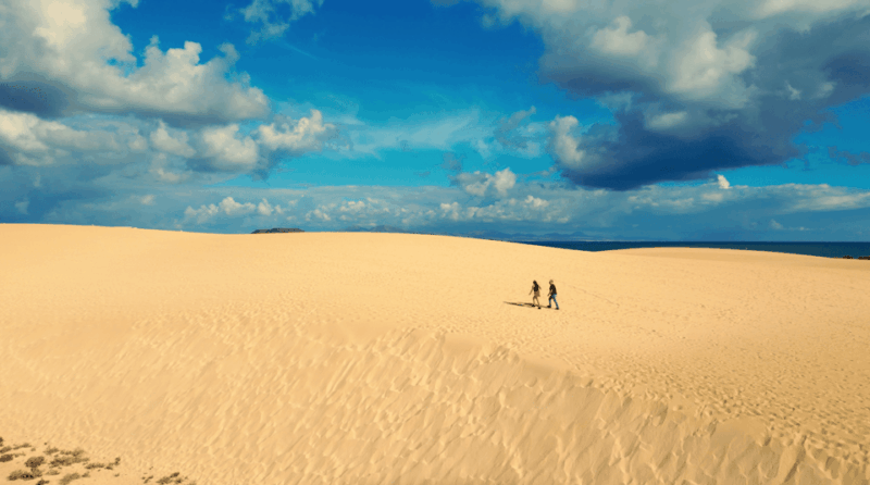 Fuerteventura North Tour With Tapas (Food) - Key Points