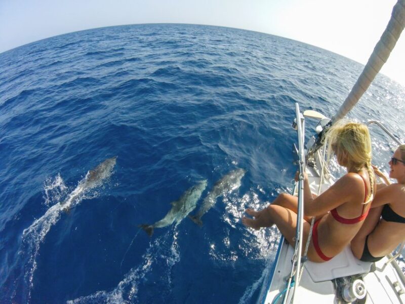 Fuerteventura: Sailing With Snorkeling and Dolphin Watching - Customer Reviews and Ratings