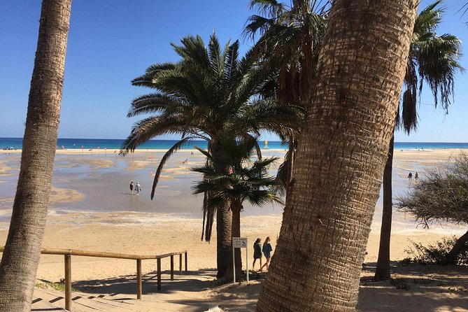 Fuerteventura South Exclusive Tour - Discover Small Villages and Farms
