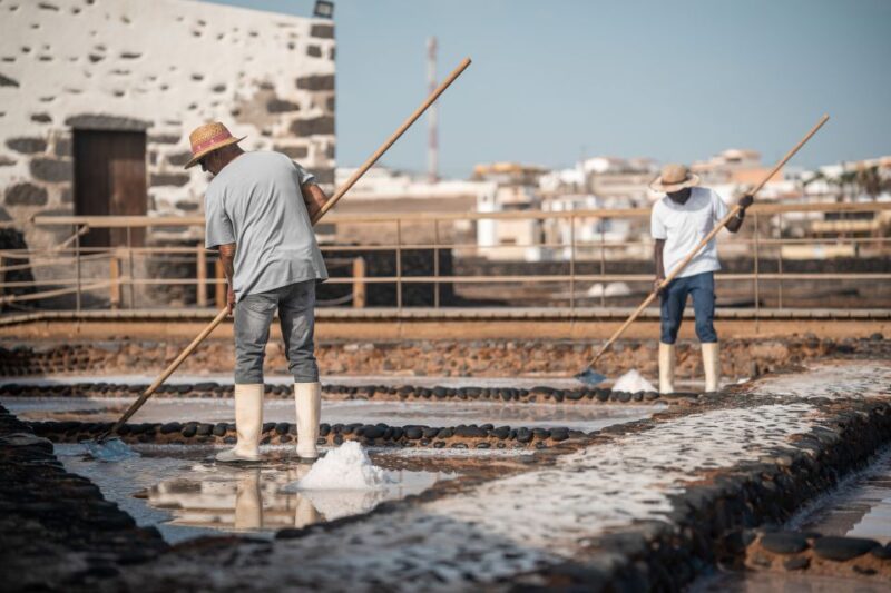 Fuerteventura: Tickets to Salt, Cheese and Windmill Museums - Good To Know