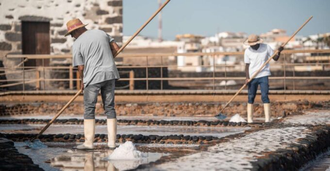 Fuerteventura: Tickets to Salt, Cheese and Windmill Museums - How to Book