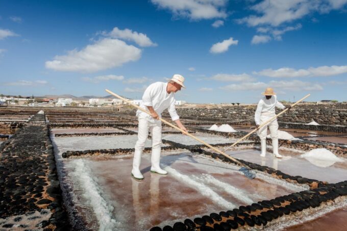 Fuerteventura: Tickets to Salt, Cheese and Windmill Museums - Highlights and Inclusions