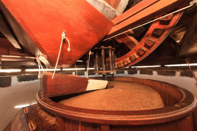 Fuerteventura: Tickets to Salt, Cheese and Windmill Museums - The Sum Up