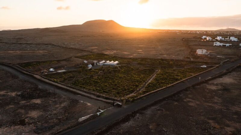 Fuerteventura: Tour & tasting at Conatvs Winery - The Tasting Experience