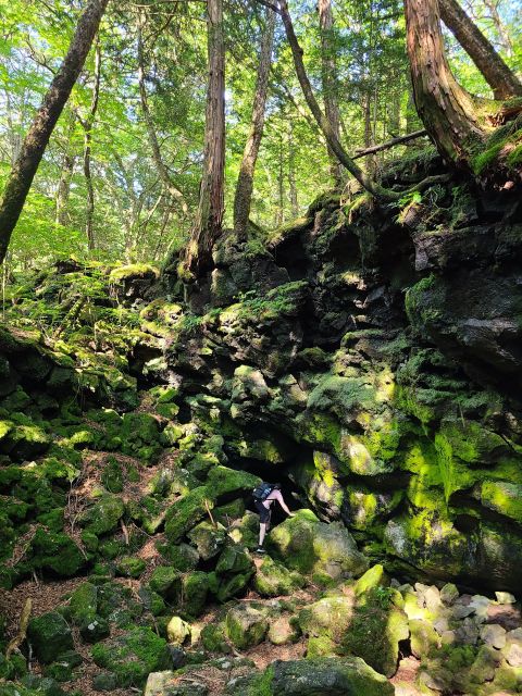 Fujikawaguchiko: Guided Highlights Tour With Mt. Fuji Views - Waterfalls and Shrines