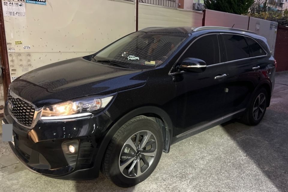 Fukuoka (Cruise Port Hakata): Private Transfer to Fukuoka - Luggage Assistance