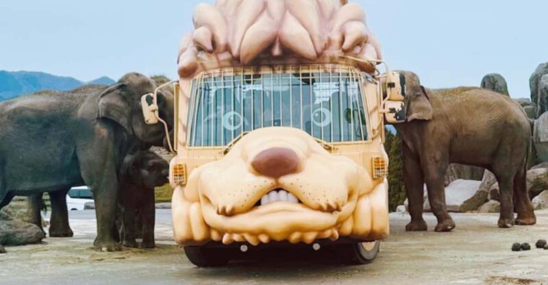 Fukuoka: Kyushu Natural Animal Park & Yufuin Day Tour - Restrictions and Considerations