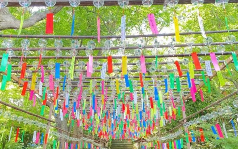 Fukuoka: Nyoirinji Frog Temple & Beppu & Yufuin One-Day Tour - Tour Overview