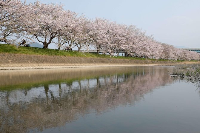Fukuoka Private Customizable Half Day Tour - Transportation and Guide Services