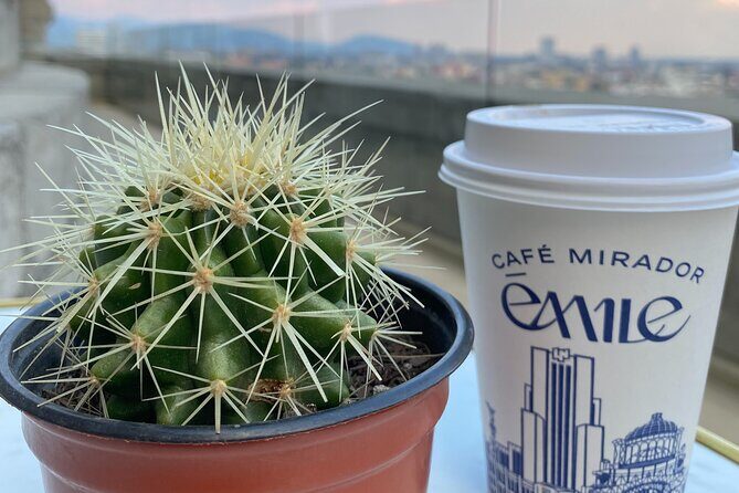 Full CDMX Experience | Prepare Your Own Tequila, Eat Tacos & Take a Dance Class - FAQ