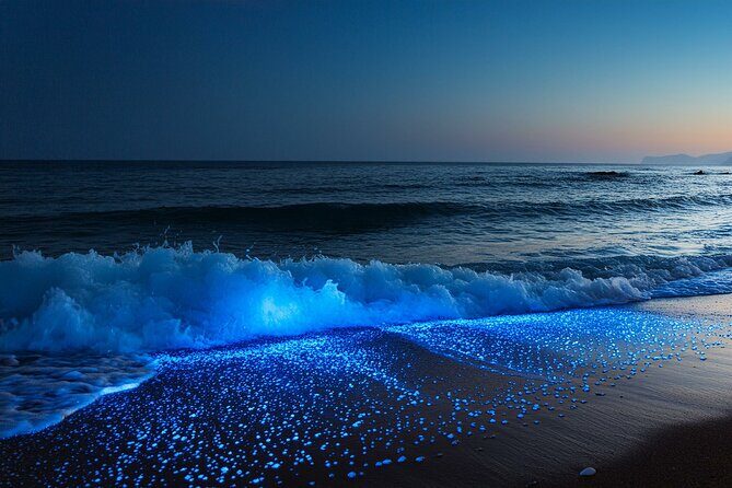 Full Clear Kayak Bioluminescent Experience Vieques, Puerto Rico - An In-Depth Look at the Bioluminescent Kayak Experience