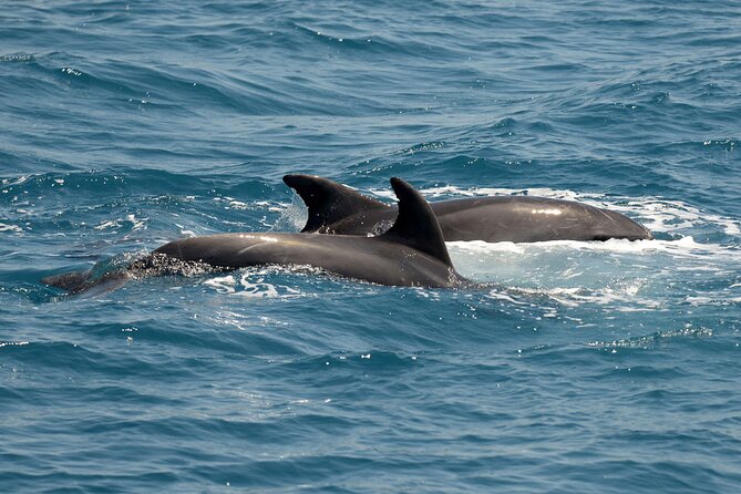 Full Day 3-Island Boat Cruise From Port of Kos - Traveler Experiences