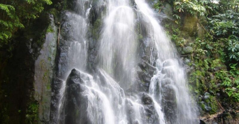 Full-Day 4x4 Nordeste Azores Tour from Ponta Delgada - Key Points