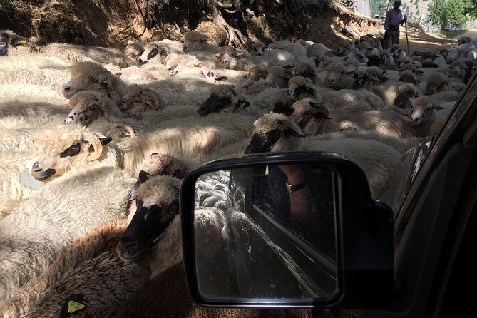 Full Day 4x4 Tour in the Eastern Carpathians - Who This Tour Is Best For