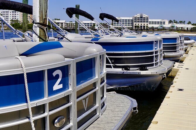 Full Day 90HP Pontoon Rental to Shell Island - What to Expect During Your Day on the Water