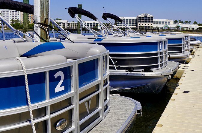 Full Day 90HP Pontoon Rental to Shell Island - Reviews and Authentic Feedback