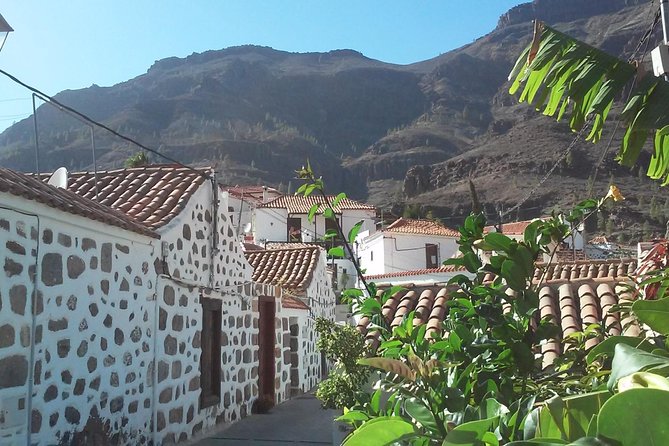 Full Day Across the Island Tour From Las Palmas - Guided Tour Experience