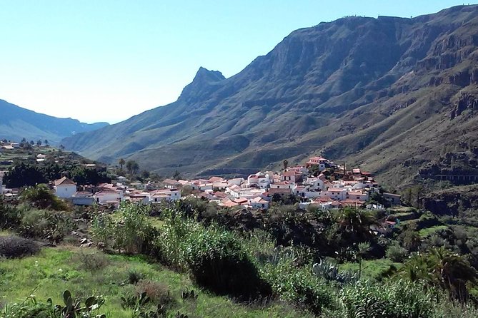 Full Day Across the Island Tour From Las Palmas - Cancellation Policy Details