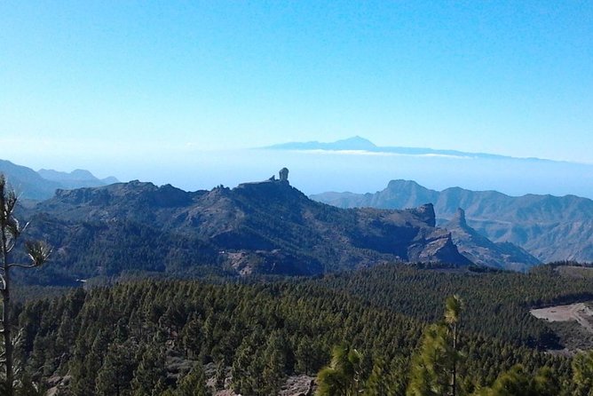 Full Day Across the Island Tour From Las Palmas - Customer Reviews and Testimonials