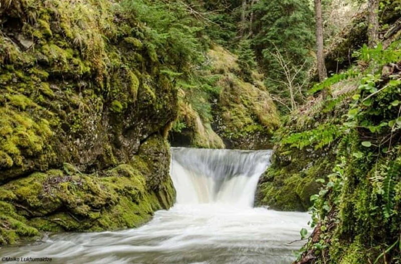 Full Day Adventure in Borjomi! - The Sum Up: A Solid Choice for Nature and Culture Enthusiasts