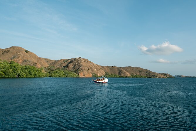 Full-Day Adventure Tour to Komodo Island With Join Speed Boat Tur - Trekking Padar Island