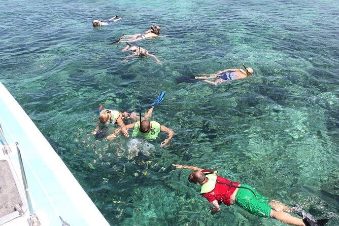 Full Day All Inclusive Sail & Snorkel with Turtles in Rose Island - The Caveats: Cancellations and Reliability