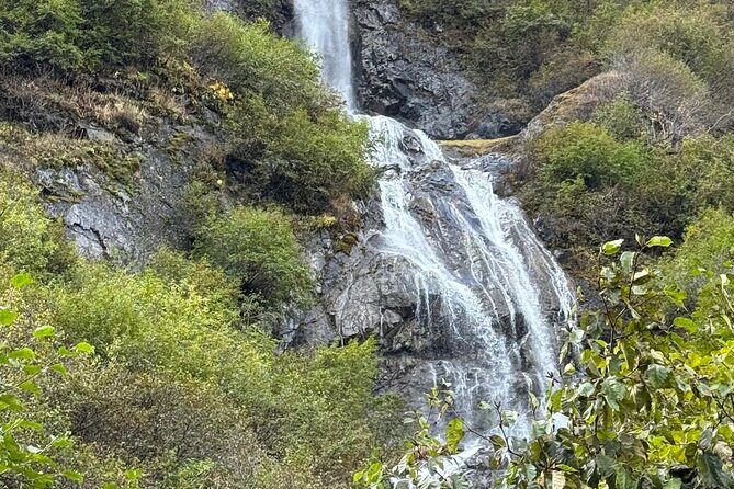 Full Day Anchorage Tour with Alaskan Guide - An In-Depth Look at the Anchorage Full-Day Tour