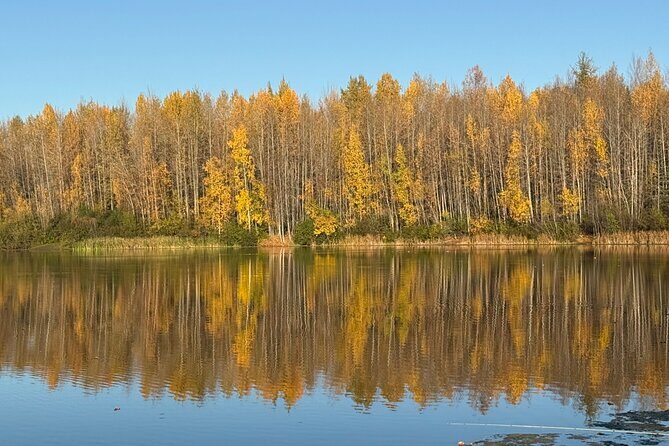 Full Day Anchorage Tour with Alaskan Guide - Final Thoughts