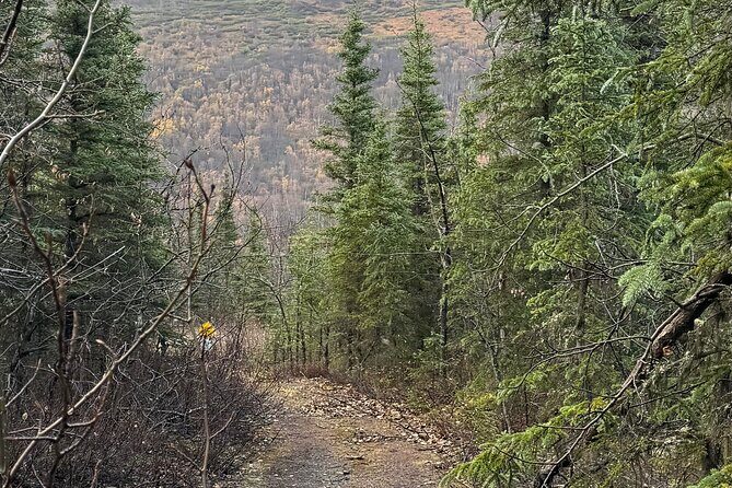 Full Day Anchorage Tour with Alaskan Guide - Frequently Asked Questions