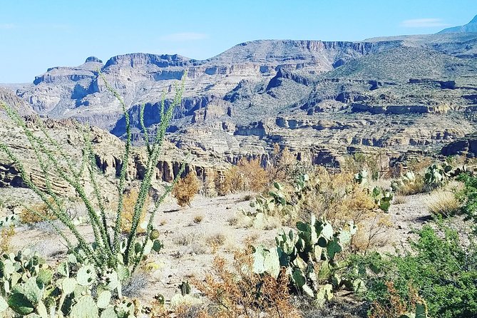 Full Day Apache Trail Adventure Tour From Scottsdale - Pricing and Booking Options