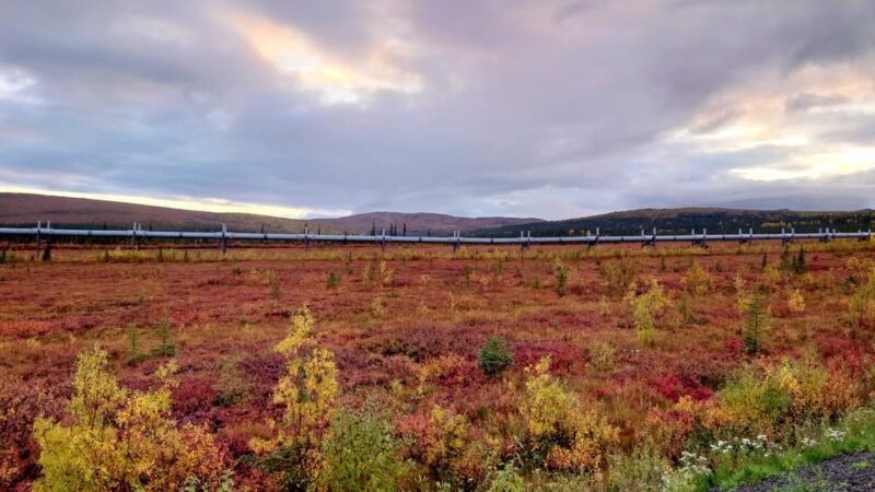 Full Day Arctic Circle Adventure From Fairbanks - The Sum Up
