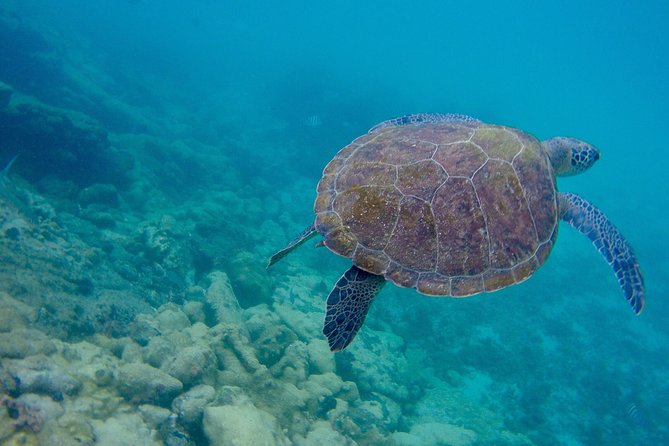 Full Day Around the Island of Ilha Grande and Its Beaches - Questions About Your Stay