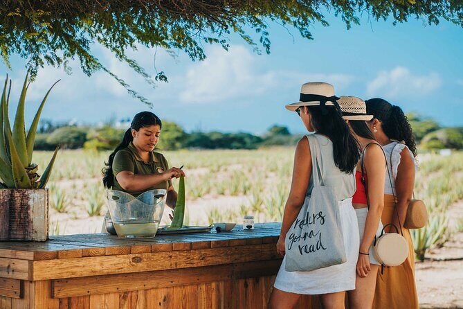 Full-Day Aruba History and Must-See Landmarks Tour - A Deep Dive into the Experience