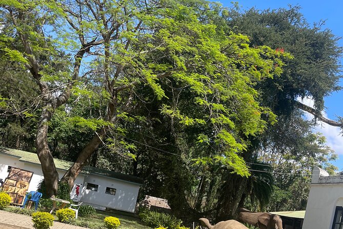 Full Day Arusha City Tour - Exploring Arusha Beyond the Tour