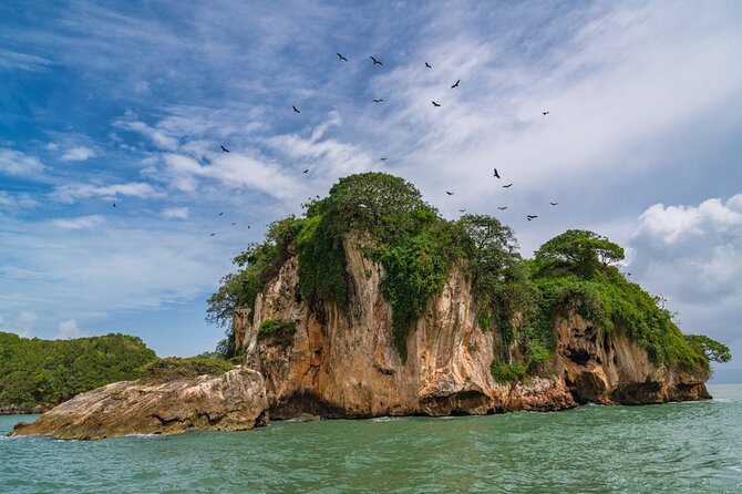 Full-Day at Los Haitises National Park - Natural Wonders